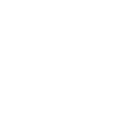my logo
